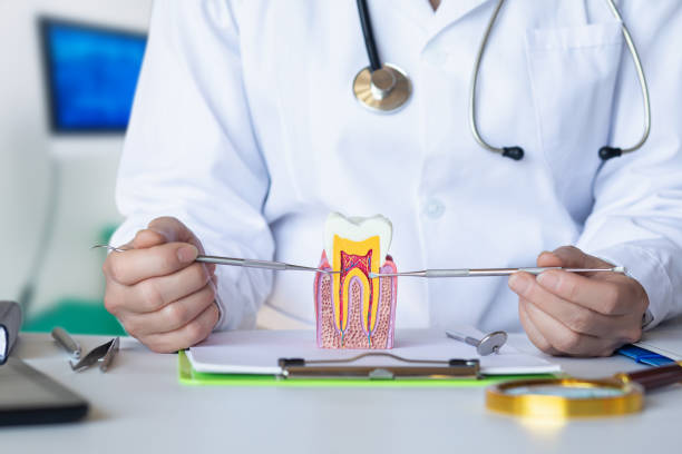 Best Emergency Dental Services for Seniors in South Dos Palos, CA